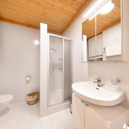 Steinbock Silberleiten Apartment Konigsleiten